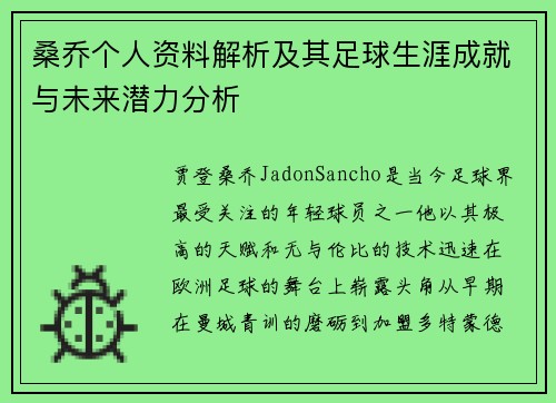 桑乔个人资料解析及其足球生涯成就与未来潜力分析