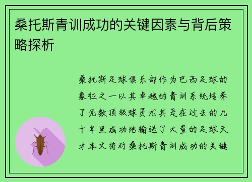 桑托斯青训成功的关键因素与背后策略探析
