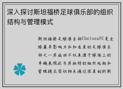 深入探讨斯坦福桥足球俱乐部的组织结构与管理模式